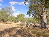 https://images.listonce.com.au/custom/160x/listings/63-porter-street-templestowe-vic-3106/536/01743536_img_07.jpg?-HYr_2HC00g