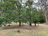 https://images.listonce.com.au/custom/160x/listings/63-strathclyde-crescent-woodend-vic-3442/626/01724626_img_13.jpg?fYF2sPoUuRg