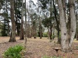https://images.listonce.com.au/custom/160x/listings/63-strathclyde-crescent-woodend-vic-3442/626/01724626_img_17.jpg?E2-YxeZ1q9s
