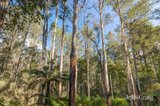 https://images.listonce.com.au/custom/160x/listings/630-thonemans-road-hoddles-creek-vic-3139/106/01900106_img_05.jpg?rIclUiS21uI