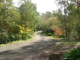 https://images.listonce.com.au/custom/160x/listings/638-640-ringwood-warrandyte-road-park-orchards-vic-3114/180/00620180_img_01.jpg?90H0yKYfdAg