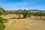 https://images.listonce.com.au/custom/160x/listings/641-bridgewater-maldon-road-baringhup-vic-3463/588/01351588_img_04.jpg?7G-dh0BB9OY