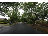 https://images.listonce.com.au/custom/160x/listings/7-grey-street-balwyn-vic-3103/533/01684533_img_02.jpg?fc4K-t2fThg