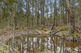 https://images.listonce.com.au/custom/160x/listings/70-manna-gum-road-sailors-falls-vic-3461/744/01939744_img_15.jpg?LGnEIWohziY