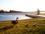 https://images.listonce.com.au/custom/160x/listings/71314-mair-street-ballarat-central-vic-3350/912/01575912_img_04.jpg?MrDyN8K-Y40