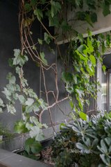 https://images.listonce.com.au/custom/160x/listings/72-well-street-brighton-vic-3186/833/01325833_img_09.jpg?-U_9xgTccQA