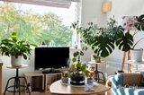 https://images.listonce.com.au/custom/160x/listings/745-shelley-street-elwood-vic-3184/051/01943051_img_10.jpg?SlhZqRv2_7k