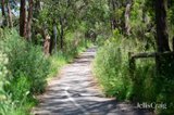 https://images.listonce.com.au/custom/160x/listings/8-blenheim-street-heathmont-vic-3135/974/01901974_img_11.jpg?II822YdDAnc