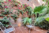 https://images.listonce.com.au/custom/160x/listings/8-burchett-street-brunswick-vic-3056/812/01951812_img_20.jpg?PkvNujBdUaA