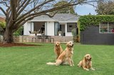 https://images.listonce.com.au/custom/160x/listings/8-fordyce-street-cheltenham-vic-3192/625/01580625_img_12.jpg?6kAPquf5Hzg