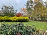 https://images.listonce.com.au/custom/160x/listings/8-tennyson-street-woodend-vic-3442/218/01905218_img_24.jpg?P0Sc-DFRirE