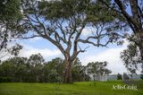 https://images.listonce.com.au/custom/160x/listings/81-metcalfe-taradale-road-metcalfe-vic-3448/649/01959649_img_23.jpg?julyhlLknmU