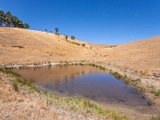 https://images.listonce.com.au/custom/160x/listings/85-allandale-road-strath-creek-vic-3658/032/01525032_img_15.jpg?DudSXLDDusA
