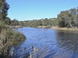 https://images.listonce.com.au/custom/160x/listings/85-buckingham-road-newtown-vic-3220/921/01698921_img_08.jpg?b2WtlNafmWA