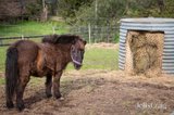 https://images.listonce.com.au/custom/160x/listings/85-cottles-bridge-strathewen-road-cottles-bridge-vic-3099/764/01935764_img_25.jpg?yxf6vhnbgHY