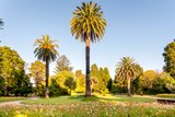 https://images.listonce.com.au/custom/160x/listings/85-herbert-street-st-kilda-vic-3182/391/01793391_img_13.jpg?7mVFBdhus50