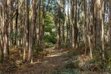 https://images.listonce.com.au/custom/160x/listings/85-lightwood-drive-wheatsheaf-vic-3461/995/01124995_img_08.jpg?1cEDibbLmYE