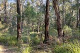 https://images.listonce.com.au/custom/160x/listings/856-buttermans-track-christmas-hills-vic-3775/454/01575454_img_01.jpg?Gr__wDEvo6Q