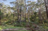 https://images.listonce.com.au/custom/160x/listings/856-buttermans-track-christmas-hills-vic-3775/454/01575454_img_03.jpg?nFsS6V_v6N0