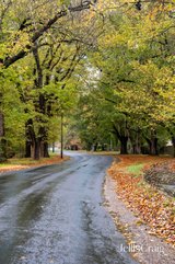 https://images.listonce.com.au/custom/160x/listings/862-river-street-healesville-vic-3777/471/01902471_img_12.jpg?qzAe2yPPVjc