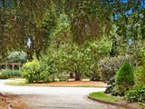 https://images.listonce.com.au/custom/160x/listings/88-john-street-elwood-vic-3184/782/01793782_img_08.jpg?P2t_Dswj938