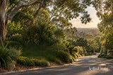 https://images.listonce.com.au/custom/160x/listings/9-coventry-street-montmorency-vic-3094/100/01976100_img_03.jpg?4W_54NblP4k