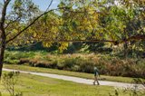 https://images.listonce.com.au/custom/160x/listings/9-meadow-crescent-mount-waverley-vic-3149/068/01899068_img_12.jpg?aYYh-OoGIyM