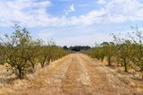 https://images.listonce.com.au/custom/160x/listings/9-stag-road-allendale-vic-3364/284/01637284_img_19.jpg?D2vZ5DGz24I
