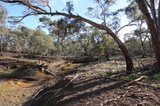 https://images.listonce.com.au/custom/160x/listings/90-firmans-road-mount-glasgow-vic-3371/838/00857838_img_05.jpg?BPUcxaR6P8o