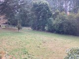 https://images.listonce.com.au/custom/160x/listings/950-gap-road-cherokee-vic-3434/699/01984699_img_09.jpg?X-5zXPLqIo4