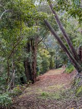 https://images.listonce.com.au/custom/160x/listings/99-103-smedley-road-park-orchards-vic-3114/435/01722435_img_19.jpg?yrAmTooLTtc