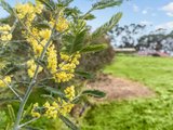 https://images.listonce.com.au/custom/160x/listings/9b-reckleben-street-castlemaine-vic-3450/548/00945548_img_03.jpg?QXUN1GSEvQs