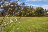 https://images.listonce.com.au/custom/160x/listings/ca-22-19-ca-22-19-garlepp-road-welshmans-reef-vic-3462/553/01896553_img_06.jpg?mDQiPSY0RR4
