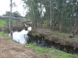 https://images.listonce.com.au/custom/160x/listings/elizabeth-street-campbells-creek-vic-3451/387/00616387_img_02.jpg?uGOFYLaaEJc