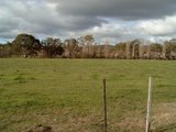 https://images.listonce.com.au/custom/160x/listings/elizabeth-street-campbells-creek-vic-3451/392/00616392_img_03.jpg?1yiZHeWtidM