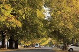 https://images.listonce.com.au/custom/160x/listings/langwarner-35-wedge-street-kyneton-vic-3444/522/01681522_img_16.jpg?Ttq0iYNZb5w