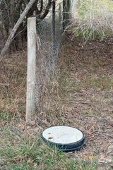https://images.listonce.com.au/custom/160x/listings/lot-10455-acacia-road-dereel-vic-3352/229/01522229_img_14.jpg?hWBLBYu0wXc