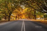 https://images.listonce.com.au/custom/160x/listings/lot-11-24-lot-11-24-collins-road-glenlyon-vic-3461/492/01898492_img_12.jpg?auKhQAgbII4