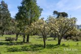 https://images.listonce.com.au/custom/160x/listings/lot-11-blackfellows-lane-snake-valley-vic-3351/960/01981960_img_05.jpg?ZxbqELXI-6o