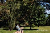 https://images.listonce.com.au/custom/160x/listings/lot-161626-trezise-lane-mount-clear-vic-3350/111/01882111_img_06.jpg?0nOJCgQBaK0