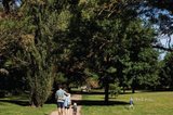 https://images.listonce.com.au/custom/160x/listings/lot-1626-trezise-lane-mount-clear-vic-3350/376/01351376_img_04.jpg?kKNdx4rUVGk