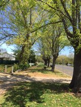 https://images.listonce.com.au/custom/160x/listings/lot-2-1-lot-2-1-gunyah-drive-trentham-vic-3458/294/01898294_img_06.jpg?8RgA6PQ_n_E