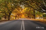 https://images.listonce.com.au/custom/160x/listings/lot-224-collins-road-glenlyon-vic-3461/233/01916233_img_10.jpg?Klm12z622ZE