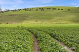 https://images.listonce.com.au/custom/160x/listings/lot-22970-ballarat-maryborough-road-clunes-vic-3370/597/01781597_img_09.jpg?B3Mxtk9a17Y