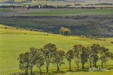 https://images.listonce.com.au/custom/160x/listings/lot-22970-ballarat-maryborough-road-clunes-vic-3370/597/01781597_img_10.jpg?2GdnX39WKHQ