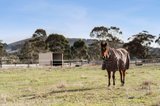 https://images.listonce.com.au/custom/160x/listings/lot-4203-sharpes-road-miners-rest-vic-3352/464/01720464_img_12.jpg?-GIgVUSjQ1U