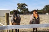 https://images.listonce.com.au/custom/160x/listings/lot-4203-sharpes-road-miners-rest-vic-3352/464/01720464_img_15.jpg?HeBN1ZKx3I4