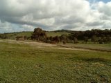 https://images.listonce.com.au/custom/160x/listings/lot-6-donkey-gully-road-campbells-creek-vic-3451/413/00616413_img_03.jpg?7CxkvbQlmgE