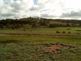 https://images.listonce.com.au/custom/160x/listings/lot-6-donkey-gully-road-campbells-creek-vic-3451/413/00616413_img_04.jpg?NpTBzKM1W7E