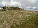 https://images.listonce.com.au/custom/160x/listings/lot-6-donkey-gully-road-campbells-creek-vic-3451/413/00616413_img_06.jpg?pTRPmc1xWJg